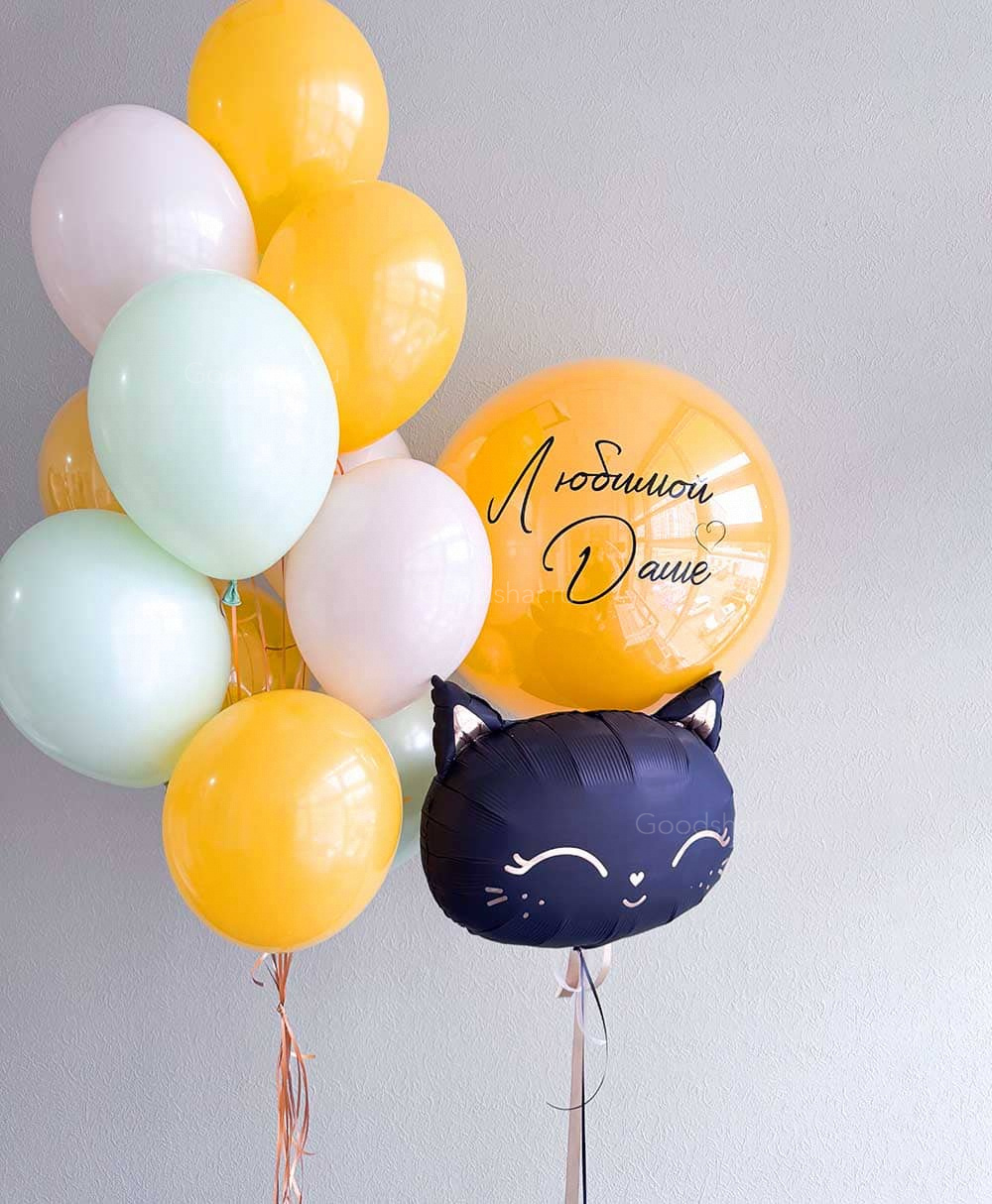 Набор воздушных шаров «Кошачий рассвет»