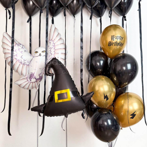  Набор воздушных шаров «Для юного фаната Гарри Поттера»