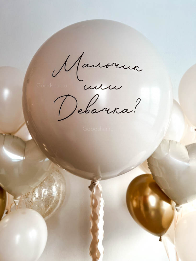 Набор воздушных шаров на гендерную вечеринку «В ожидании чуда»