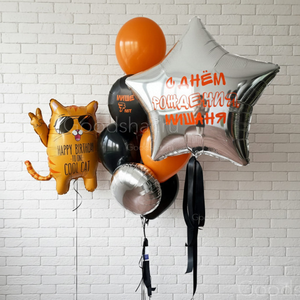 Набор воздушных шаров "Кот в очках"