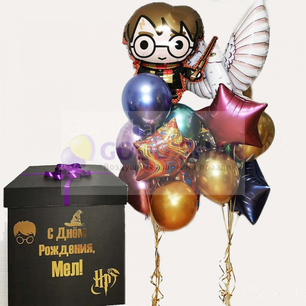 Набор воздушных шаров «Гарри Поттер», сова «Букля» и коробка-сюрприз