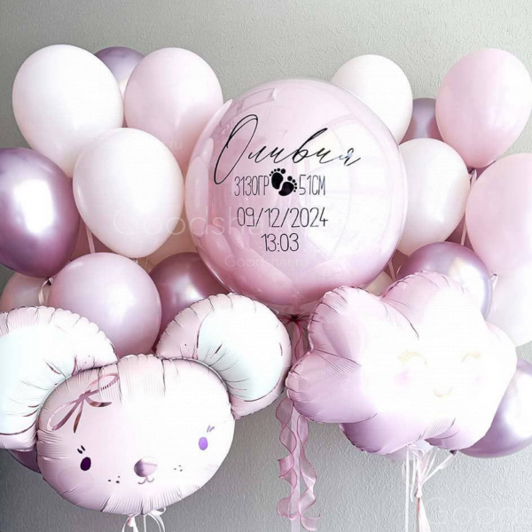 Набор воздушных шаров на выписку для девочки "Мышка и облачко"  №607