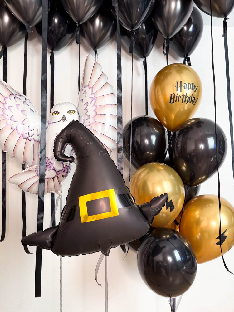  Набор воздушных шаров «Для юного фаната Гарри Поттера»