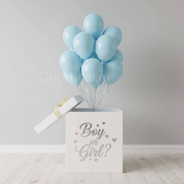 Коробка - сюрприз "Кто?  Девочка или мальчик?" №2