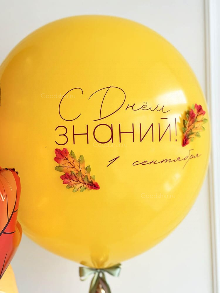 Набор на 1 сентября «С днём знаний №1»