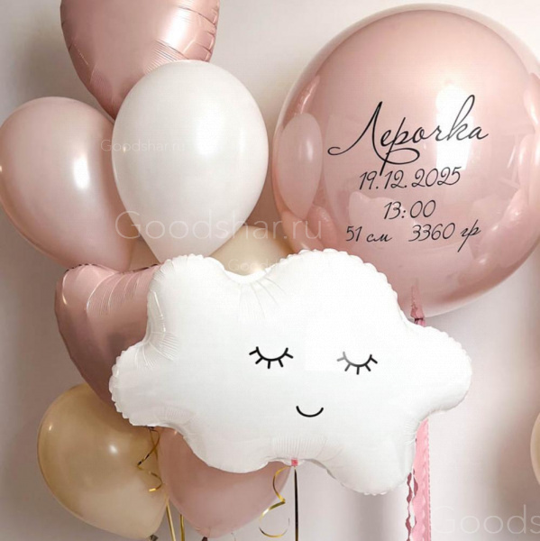 Набор воздушных шаров на выписку для девочки "Нежность момента"