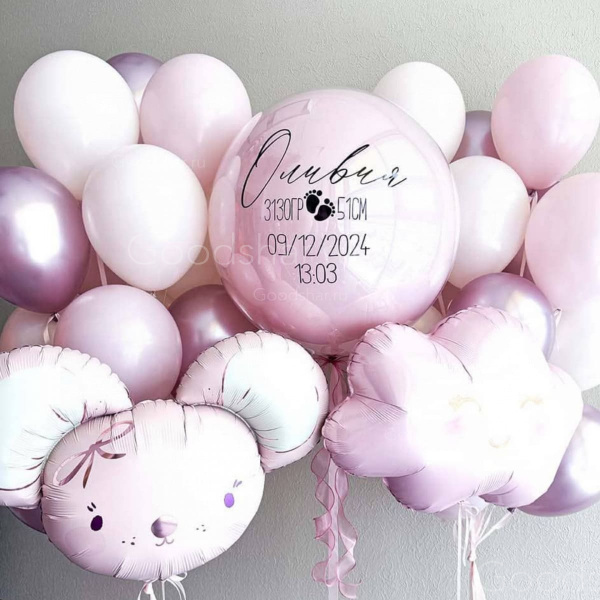 Набор воздушных шаров на выписку для девочки "Мышка и облачко"  №607