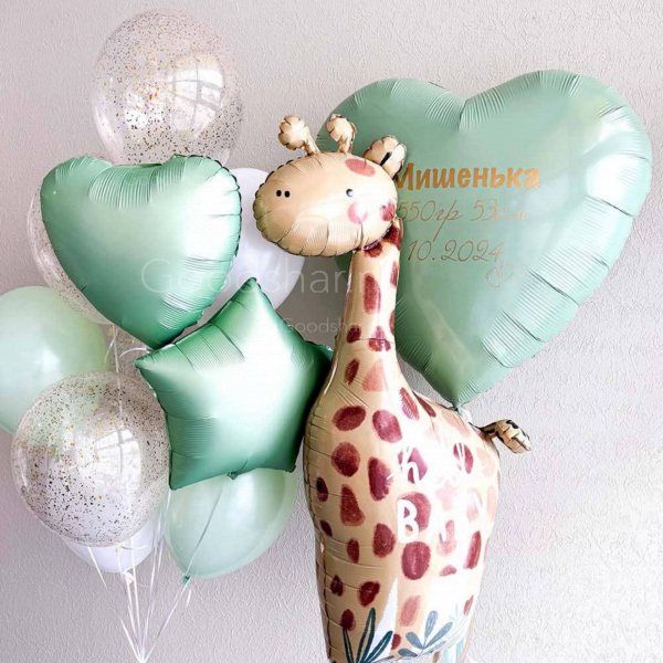 Набор воздушных шаров на выписку для мальчика с жирафиком №603