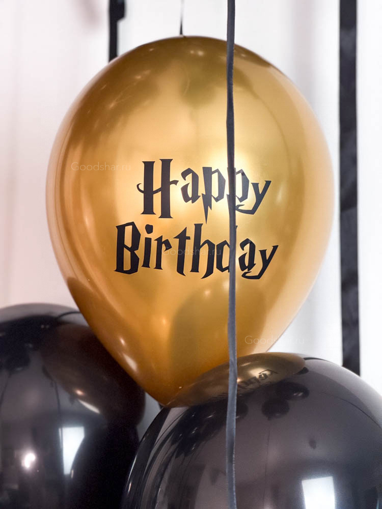  Набор воздушных шаров «Для юного фаната Гарри Поттера»