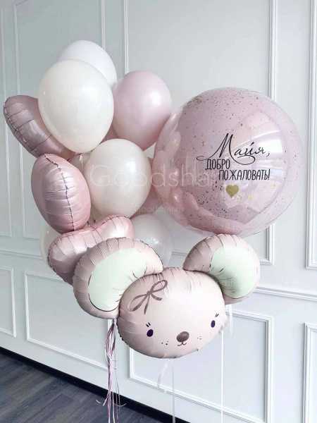 Набор воздушных шаров на выписку для девочки "Бабблс и мышка"