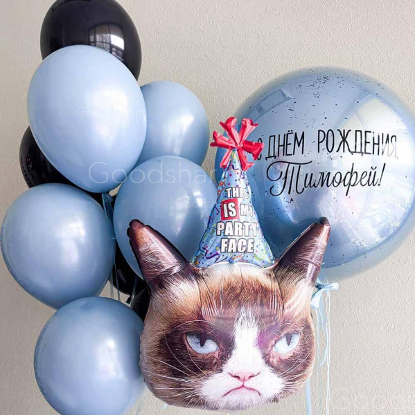 Набор воздушных шаров для мужчины "Приверда котик"