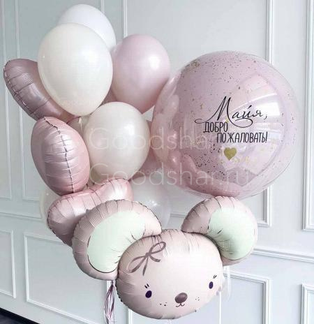 Набор воздушных шаров на выписку для девочки "Бабблс и мышка"