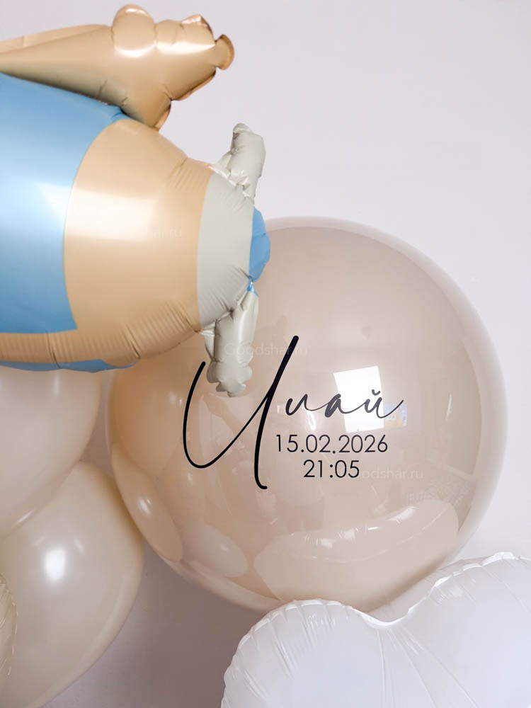 Набор воздушных шаров на выписку «Маленький самолётик»