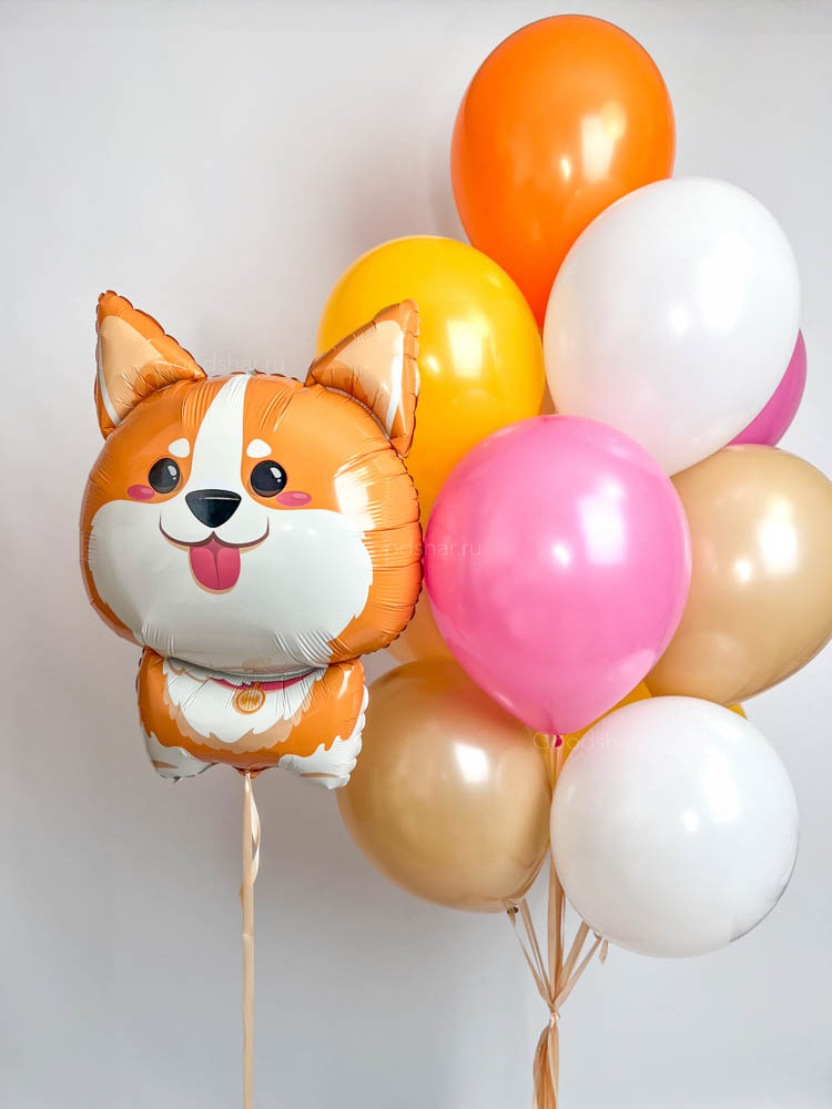 Набор воздушных шаров «Весёлые корги»