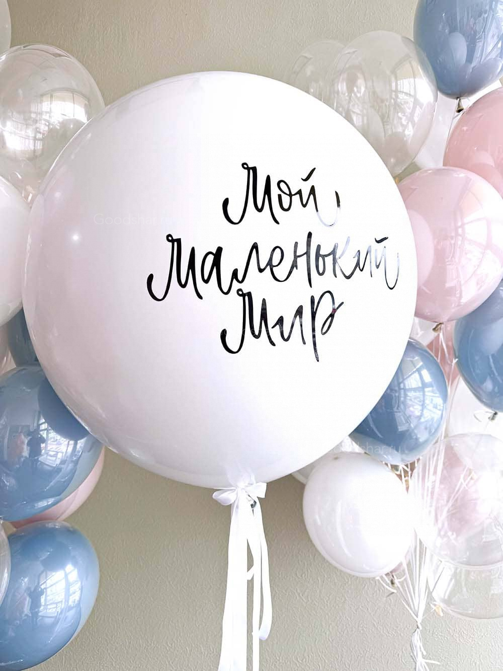 Набор воздушных шаров на гендерную вечеринку №552