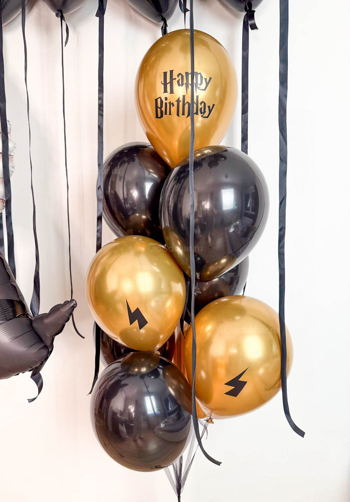  Набор воздушных шаров «Для юного фаната Гарри Поттера»