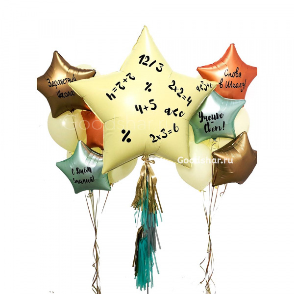 Набор воздушных шаров "Навстречу знаниям!" № 817