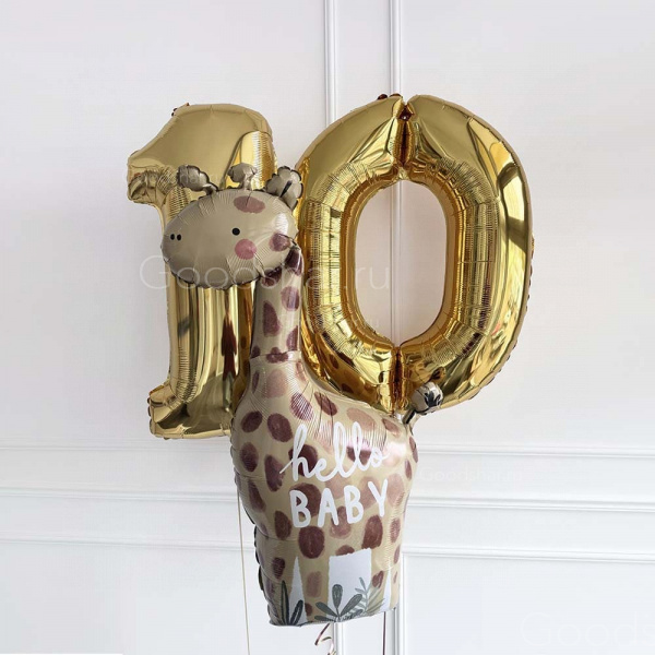 Набор воздушных шаров №539 