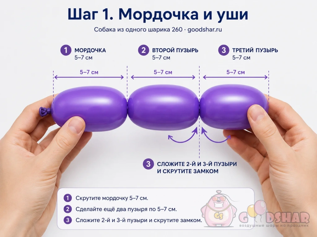 Мордочка и уши