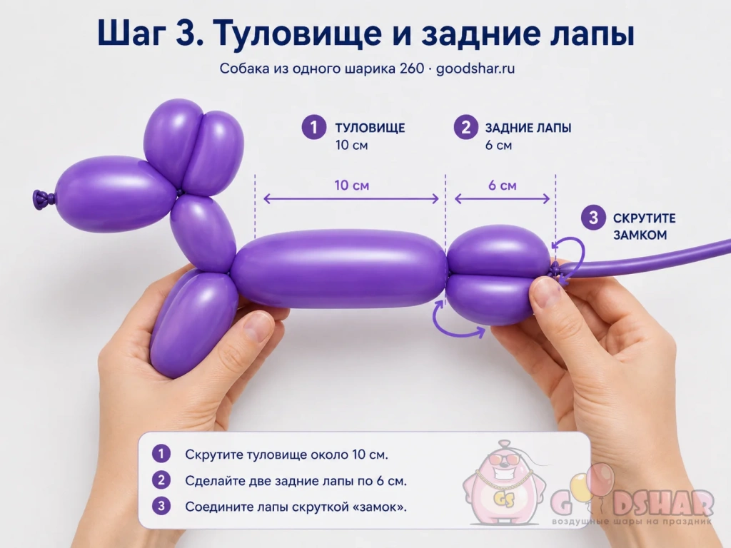 Туловище и задние лапы