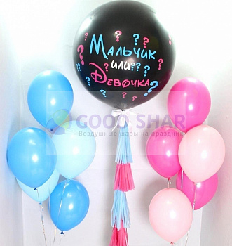 Набор шаров на определение пола № 12