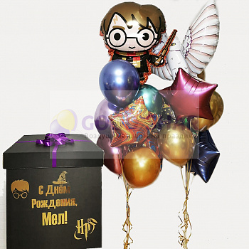 Набор воздушных шаров «Гарри Поттер», сова «Букля» и коробка-сюрприз Набор воздушных шаров «Гарри Поттер», сова «Букля» и коробка-сюрприз
