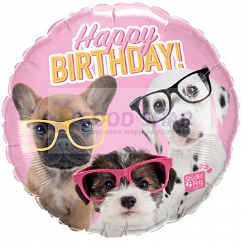 Шар фольгированный 18" "HB Щенки в очках" Шар фольгированный 18" "HB Щенки в очках"
