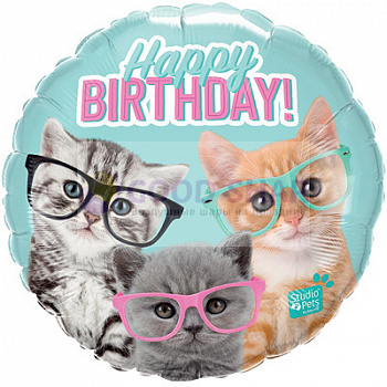 Шар фольгированный 18" "HB Котята в очках" Шар фольгированный 18" "HB Котята в очках"