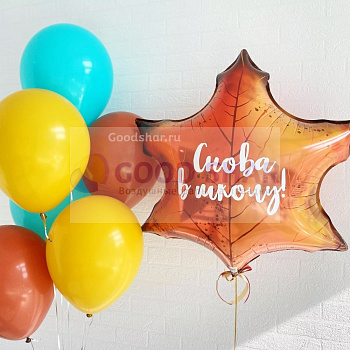 Набор воздушных шаров "Снова в школу!" № 809 Набор воздушных шаров "Снова в школу!" № 809